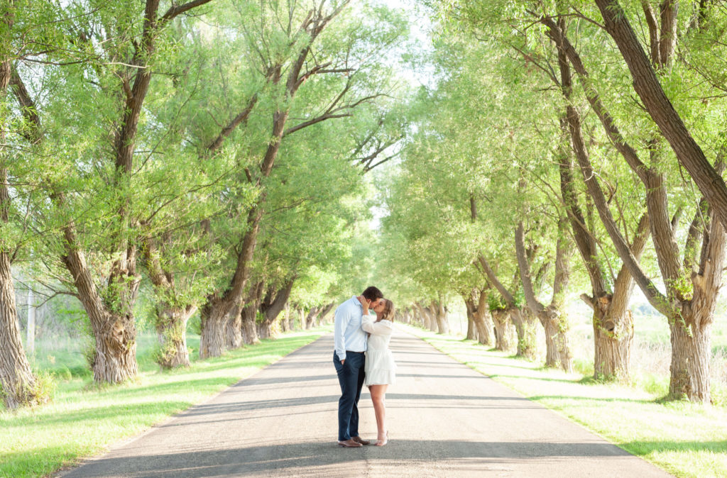 fiances kissing on a road with trees
