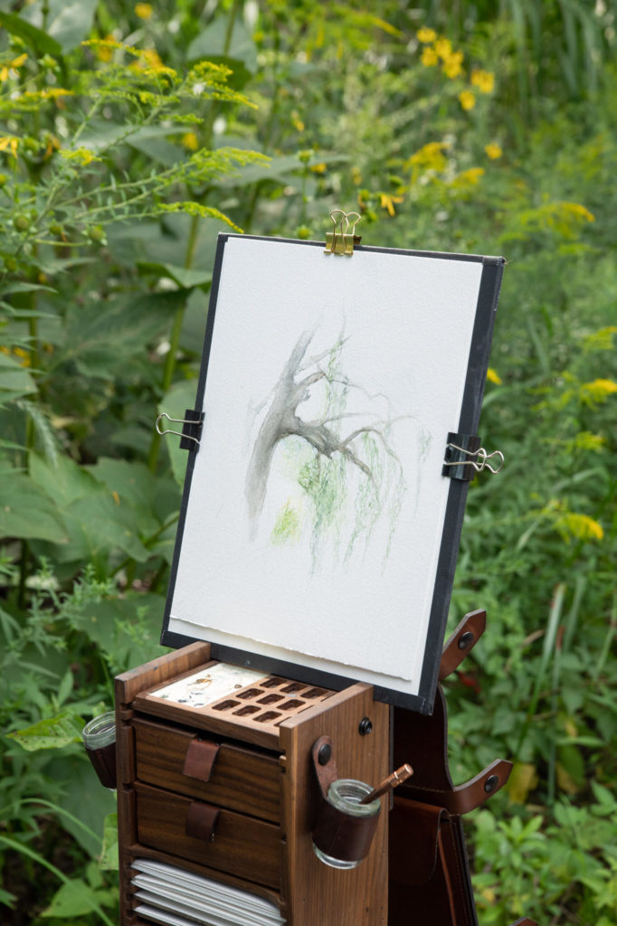 water color painting of a willow tree on a wooden easel 