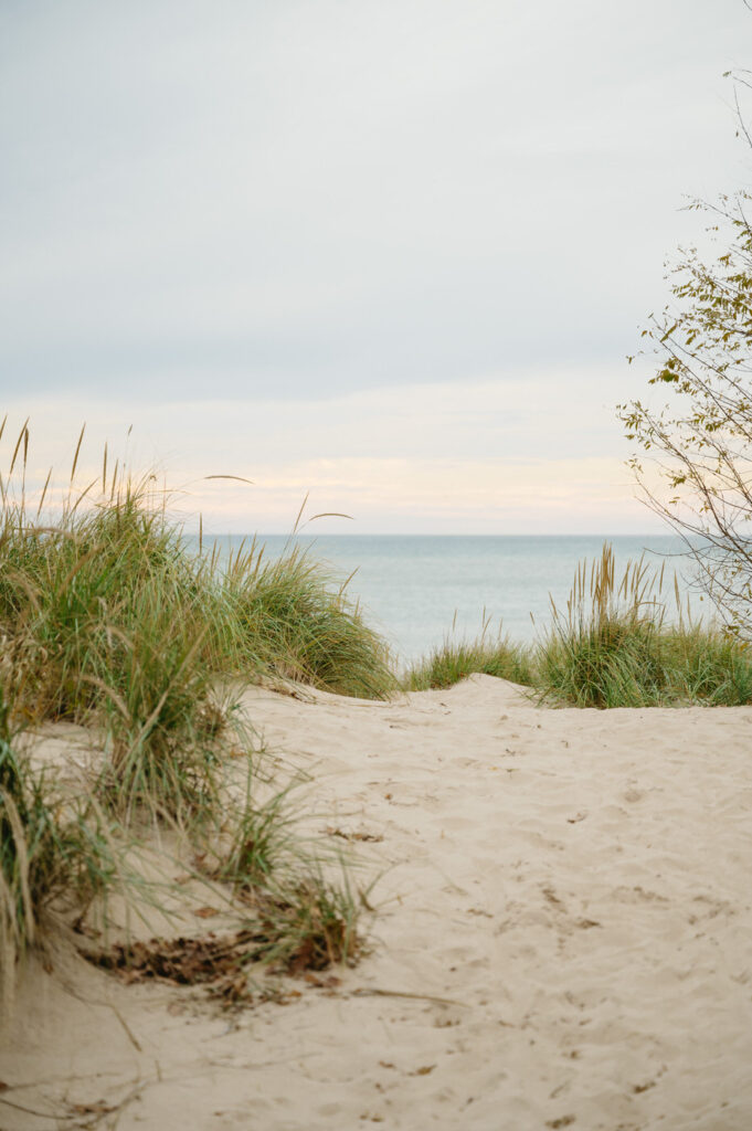 sand dunes and beach grass with Lake Michigan in the background at sunset in South Haven