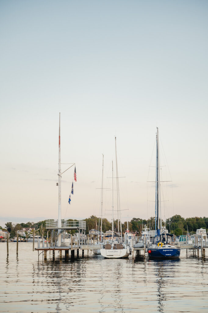 sailboats docked in the marina at sunset in Douglas, Michigan